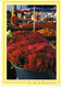 France La Reunion Saint Paul Marché Serberas 1992 Jacquin Buret Noeux Les Mines Fleur Nature - Saint Paul