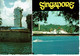 1980 -Singapour - Carte Postale Pour La France - Bateaux N° 339 Et 340 - Singapore (...-1959)
