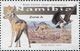 NAMIBIA 2017 MiNr. 1580 - 1584 Animals SMALL CANINES Dogs Birds 5v  MNH** 14,00 € - Namibia (1990- ...)