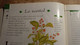 Delcampe - Magazine "Parfums De Rêve" N° 20 -  "Popy Moreni" - Editions Atlas - Zeitschriften