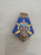 TE25721   INSIGNE MILITAIRE  403 COMPAGNIE DE REPARATION DIVISIONNAIRE FAB DRAGO PARIS G1528 - Army