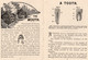Delcampe - 1 Carnet Booklet  The Teeth  E.W.Hoyt  & C° 1891 Rubifoam Tooth Powder Dentist Dentifrice - Profumeria Antica (fino Al 1960)