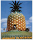 (MM 22) Australia - QLD - Big Pineapple Near Nambour - Sunshine Coast