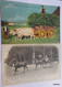 Delcampe - BEAU LOT 100 CARTES POSTALES Toutes Scannées-Nombreuses Animations-Cartes Rares.Départ 1 EURO-A VOIR!! - 5 - 99 Postcards