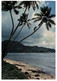 (MM 25) American Samoa - Native Up A Coconut Tree (not A Common Sight...) - Samoa Americana