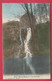 Bonne-Modave - La Cascade ... Jolie Carte Colorisée - 1908 ( Voir Verso ) - Modave