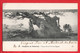 Delcampe - EGYPT    MATARIEH  CHAPEL AND FRESQUE   SEPT CARTES   7 CARDS    1919 - El Matareya