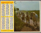 CALENDRIER GF 1981 - Chevaux De Camargue, Imprimeur Oberthur Rennes (calendrier Double) - Grand Format : 1981-90