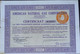 American Natural Gas Corp. Ned Cert. - Sonstige & Ohne Zuordnung