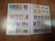 Delcampe - DEUTSCHLAND / WELT - In 2 E - Büchern - Lots & Kiloware (mixtures) - Min. 1000 Stamps