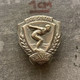 Badge Pin ZN010143 - Swimming Sokol Czechoslovakia DSO Plavec - Natation