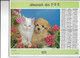 ALMANACH  PTT  1971  -  CHAT  Et  CHIENS - Grand Format : 1961-70