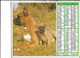 ALMANACH  PTT  1985  -  CHIENS  Et  CHATS - Big : 1981-90