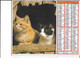 ALMANACH  PTT  1985  -  CHIENS  Et  CHATS - Groot Formaat: 1981-90