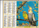 ALMANACH  PTT  1999  -  OISEAUX - Grand Format : 1991-00