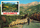 04 Barcelonnette Multivues Troupeau De Moutons - Barcelonnette