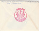 Denmark, Letter With 4 Block , Princess Margrethe, Prince Henri & Prince Frederik (baby), AFA Number DK 491, Red Cross. - Altri & Non Classificati