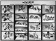7 Plaques Lumière Lumichrome-18x24 éditions Photographie Sur Le Judo, Par Michel Cartier. + 1 Photo Et 2 Plaques N°7&6 - Glasplaten
