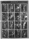 7 Plaques Lumière Lumichrome-18x24 éditions Photographie Sur Le Judo, Par Michel Cartier. + 1 Photo Et 2 Plaques N°7&6 - Glasplaten