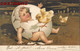 BELLE CPA GAUFREE : ENFANT BEBE POUSSIN POULE HUMOUR EMBOSSED ILLUSTRATEUR BABY 1900 - Cartes Humoristiques