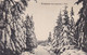 AK Waldpartie Bei Lauscha I. Thür. - Wald Winter Schnee - Ca. 1910  (55553) - Lauscha