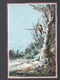Calendrier  1881  Illustré Non Publicitaire  (PPP28212) - Small : ...-1900