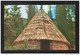 Océanie NOUVELLE CALÉDONIE CASE INDIGÈNE NATIVE HUT New Caledonia Nouvelle-Calédonie SMALL SIZE POSTCARD UNUSED - Nueva Caledonia