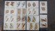 Delcampe - S90 Collection De Roumanie En Timbres **.  A Saisir !!! - Collections (with Albums)