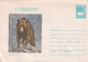 A3139 - The Brown Bear (ursus Arctos) European Year Of Nature Protection 1980 Romania Posta Romana Cover Stationery - Ours