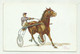 TROTTO - IPPICA ILLUSTRATA ITALO CENNI - NV  FP - Reitsport