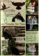 Delcampe - 3 X Katalog / Broschüre Country Garden  - Kreative Ideen Für Garten & Wohnen Im Landhaus-Stil - Catalogi