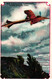 Delcampe - 6 Cards Elfenbein Seife Elefant Günther & Haussner Chemnitz - Kappel  Santos Dumont Flieger Blériot - Autres & Non Classés