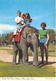 ALBERTA - EDMONTON - "ALBERTA GAME FARM" - TALLY, THE ASIATIC ELEPHANT - Edmonton