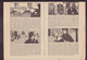 Petite Gazette Des Grands Esculapes, N° 8, 1950 - Medicina & Salud