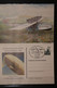 Deutschland, Postkarte Mit Antwortkarte, 44. Bundestag BDPh, DO X Und Graf Zeppelin, SST Friedichshafen - Private Postcards - Mint