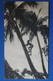 Q4 NOUVELLE CALEDONIE BELLE  CARTE 1955  IMPRIME NOUMEA POUR BOHAIN + AFFRANCHISSEMENT PLAISANT - Lettres & Documents