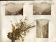 Delcampe - ALBUM 36 Photographies  1880  SAVOIE CHAMONIX Et GENEVE Agrémentée Végetaux Et Fleurs Des Régions - Old (before 1900)