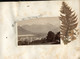 Delcampe - ALBUM 36 Photographies  1880  SAVOIE CHAMONIX Et GENEVE Agrémentée Végetaux Et Fleurs Des Régions - Old (before 1900)