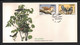 BUZIN / RWANDA 1985 / FDC FLEETWOOD / 200ème ANNIVERSAIRE DE LA NAISSANCE DE JJ AUDUBON / COB 1245 & 1246 - 1985-.. Vögel (Buzin)