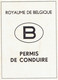 Ancien Permis De Conduire Délivré à La Louvière En 1967 (état Neuf, Jamais Utilisé) - Historical Documents