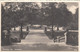 3455) FREIBERG I. Sa. - ALBERTPARK -Stiegen Und Brunnen ALT !! 27.8.1931 - Zöblitz