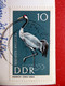 Schleusingen - Bertholdsburg Portal - Kleinformat Echt Foto - DDR 1967 - Briefmarke Kranich - Thüringen - Schleusingen