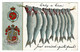 Ref 1482 - 1907 Isle Of Man Novelty Postcard - String Of Fish "Just Arrived - Quite Fresh" - Isle Of Man