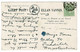 Ref 1482 - 1907 Isle Of Man Novelty Postcard - String Of Fish "Just Arrived - Quite Fresh" - Isle Of Man