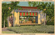 Outdoor Theatre Flamingo Park - Amid Tropical Surroundings - Miami Beach FLORIDA - Miami Beach
