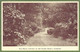 CPA Dos Simple Vue Rare - GUERNSEY - THE DRIVE, CONVENT OF THE SACRED HEARTS - - Guernsey