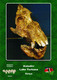 Set 3 Cartes Postales, Prehistoire, Human Fossil Sites, Kalodirr (Turkana Lake)(Kenya), Afropithecus Turkanensis - History