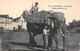 ¤¤   -   CAMBODGE   -  PNOM-PENH   -  Eléphant Préféré Du Roi    -  ¤¤ - Cambodge