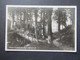 DR 1930 Echtfoto AK Ostseebad Timmendorferstrand Wolfsschlucht Verlag Julius Simonsen Tagesstempel Lübecker Bucht - Timmendorfer Strand