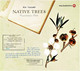 New Zealand 2012 Native Trees Presentation Pack. - Presentation Packs